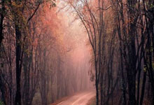 斯帕莱蒂：德国队的身高有优势；我对次回合有信心.